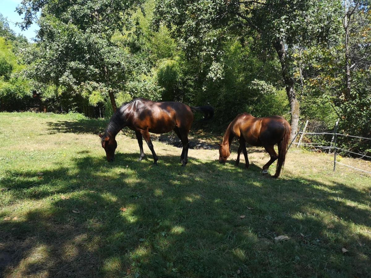 Maison A La Campagne Biras Bagian luar foto